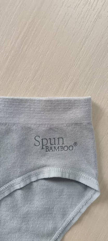 New women's Spun Bamboo high-leg brief underwear with logo waistband in gray on Tampa Home & Garden Store