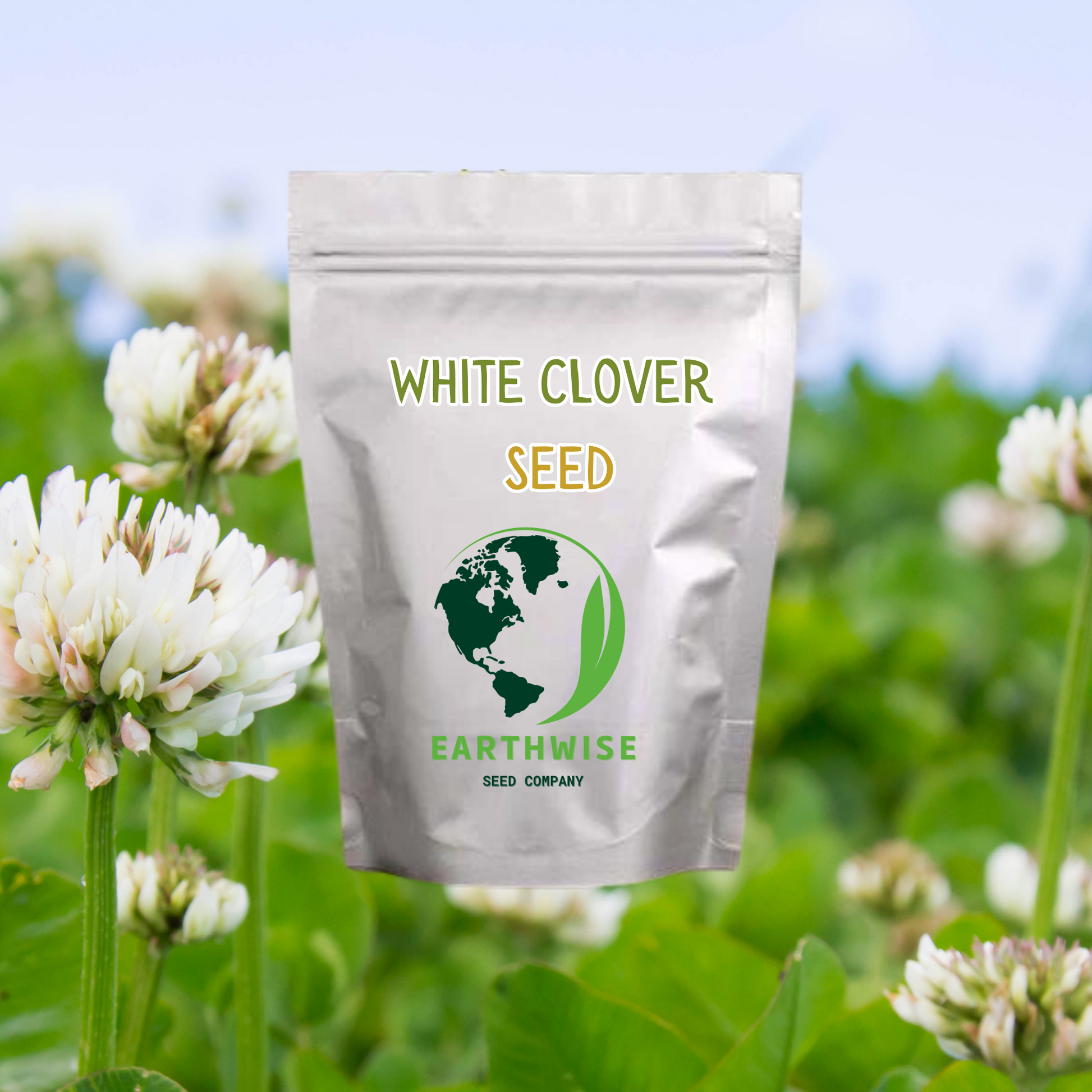 White Dutch Clover Alternative Lawn Seed - Tampa Home & Garden Store
