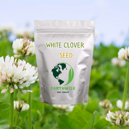 White Dutch Clover Alternative Lawn Seed - Tampa Home & Garden Store