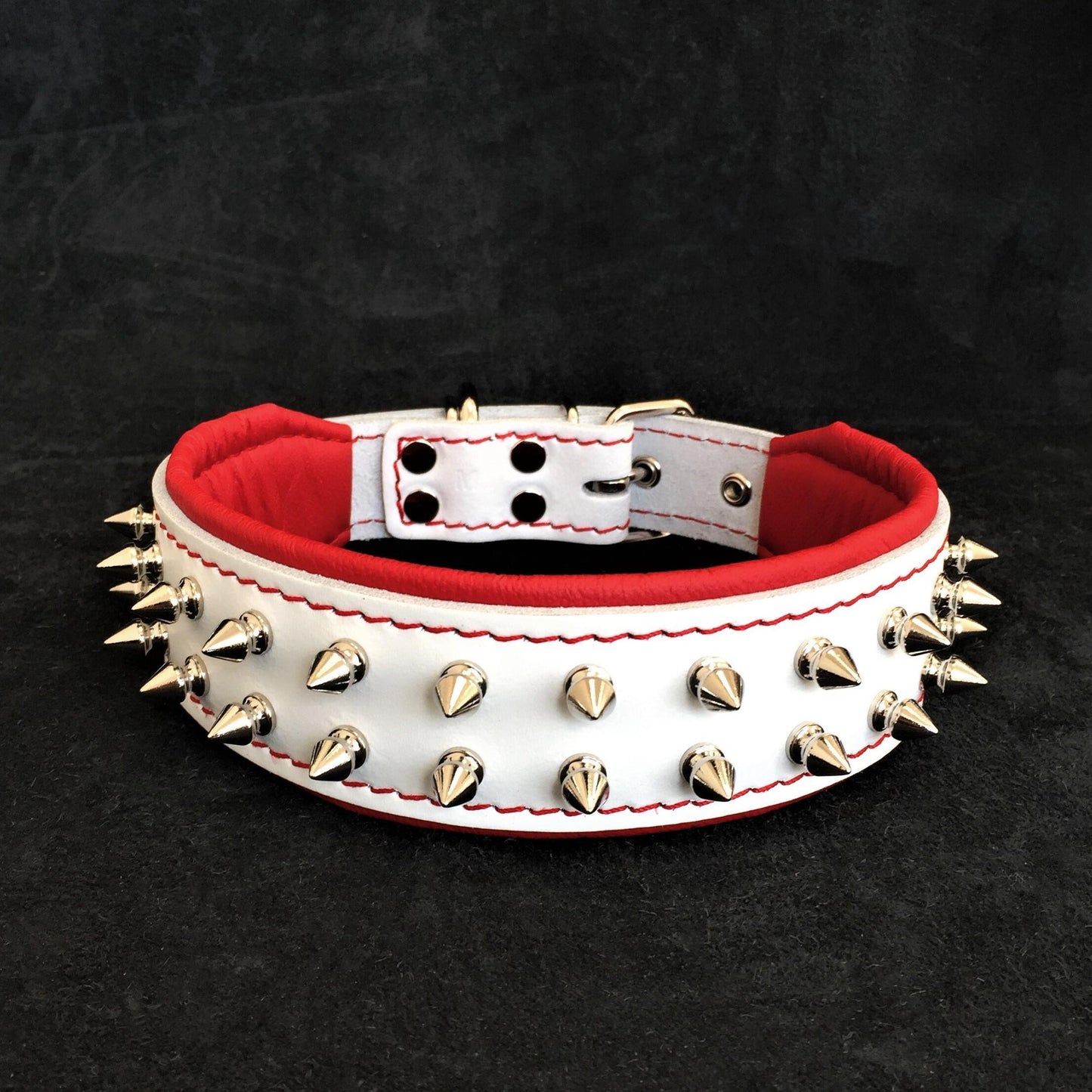 White "Frenchie" dog collar - Tampa Home & Garden Store