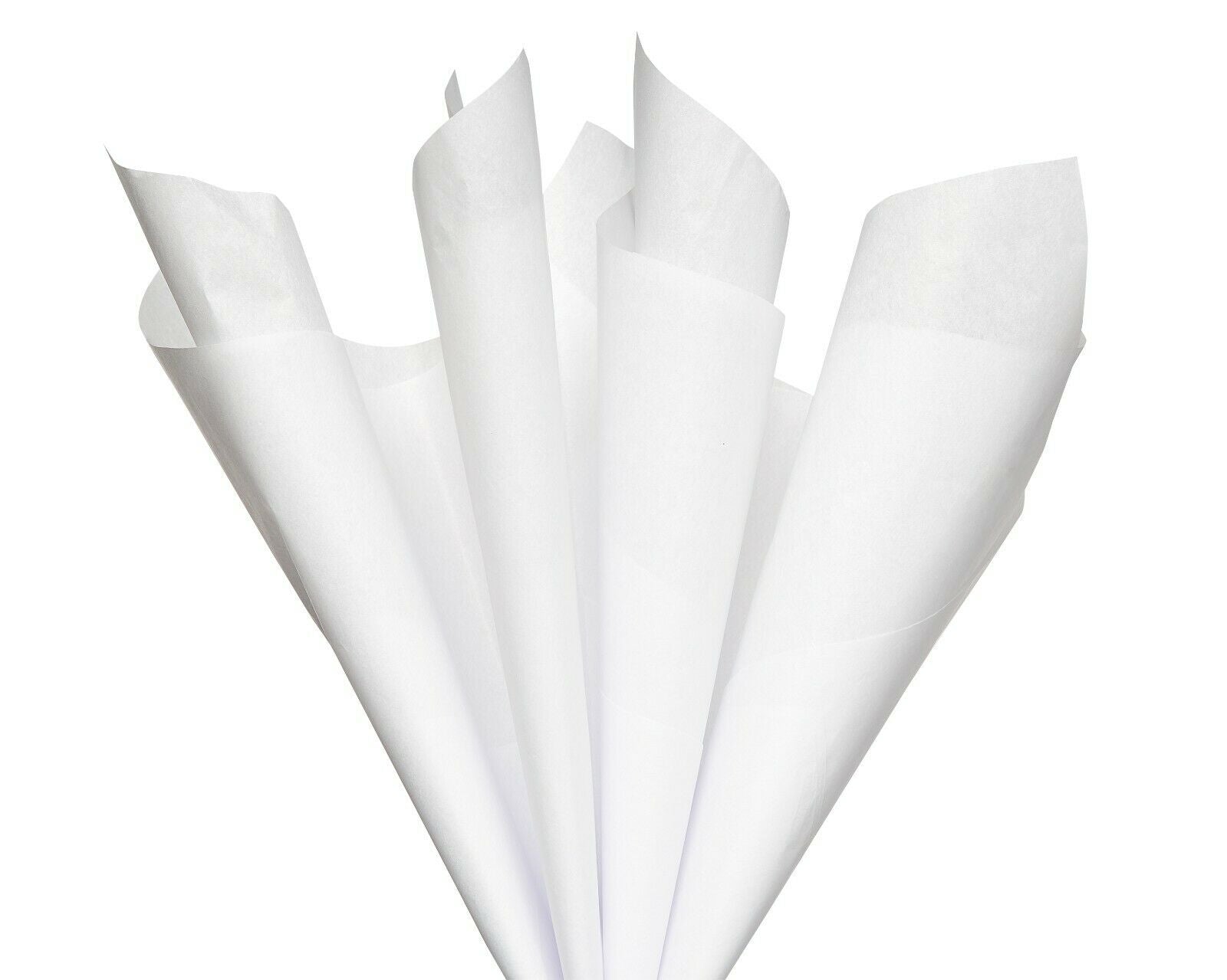 White Gift Tissue - 25 Sheets - Tampa Home & Garden Store