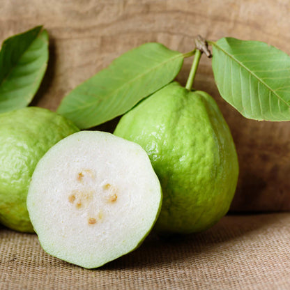 White Guava Tree fruit with sliced interior and green leaves on rustic background on Tampa Home & Garden Store