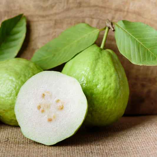 White Guava Tree fruit with sliced interior and green leaves on rustic background on Tampa Home & Garden Store