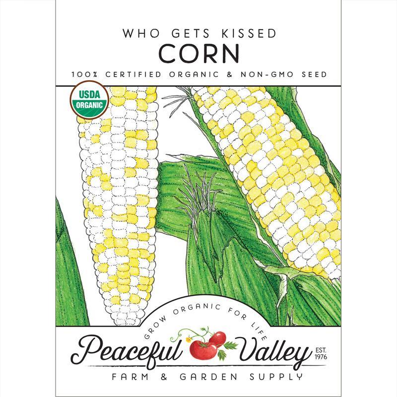 Who Gets Kissed Corn Seeds (Organic) - Tampa Home & Garden Store