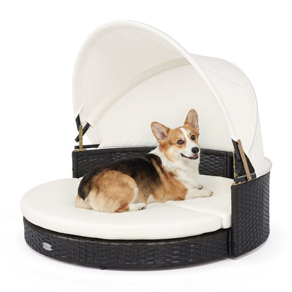 Wicker dog house with retractable white canopy and cushion, DirectDeals, dark wicker base on Tampa Home & Garden Store