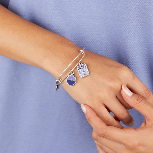 Willy Wonka Violet Duo Charm Bangle by ALEX AND ANI in silver with violet enamel charms on Tampa Home & Garden Store
