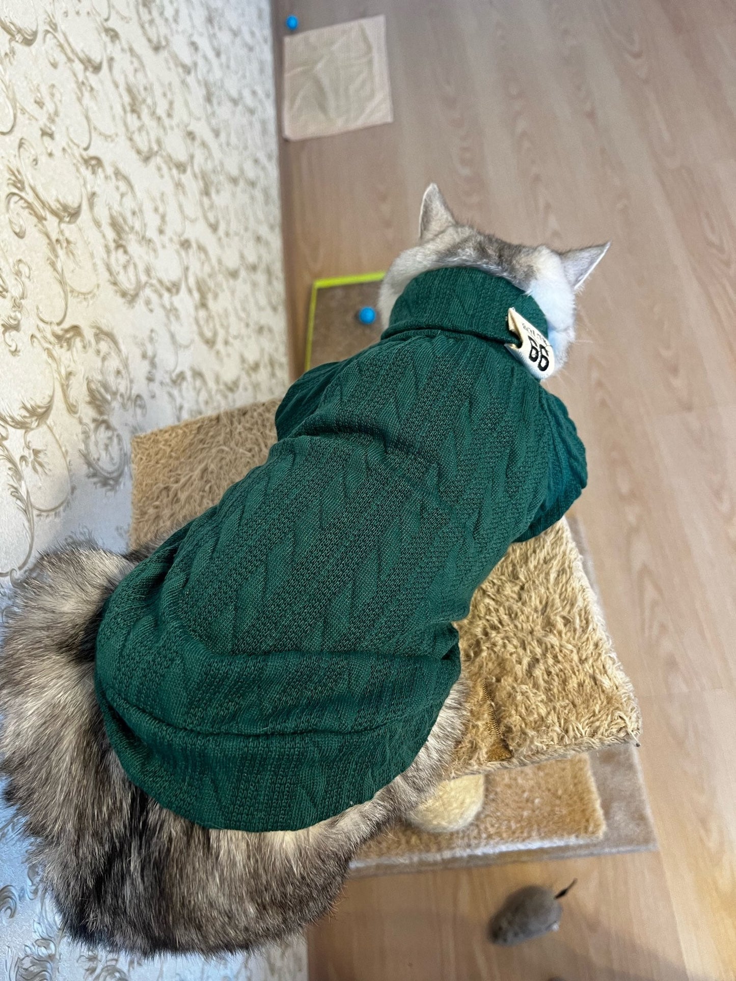 Winter Warm Knitted Turtleneck Sweater for Small Dogs or Cats - Tampa Home & Garden Store