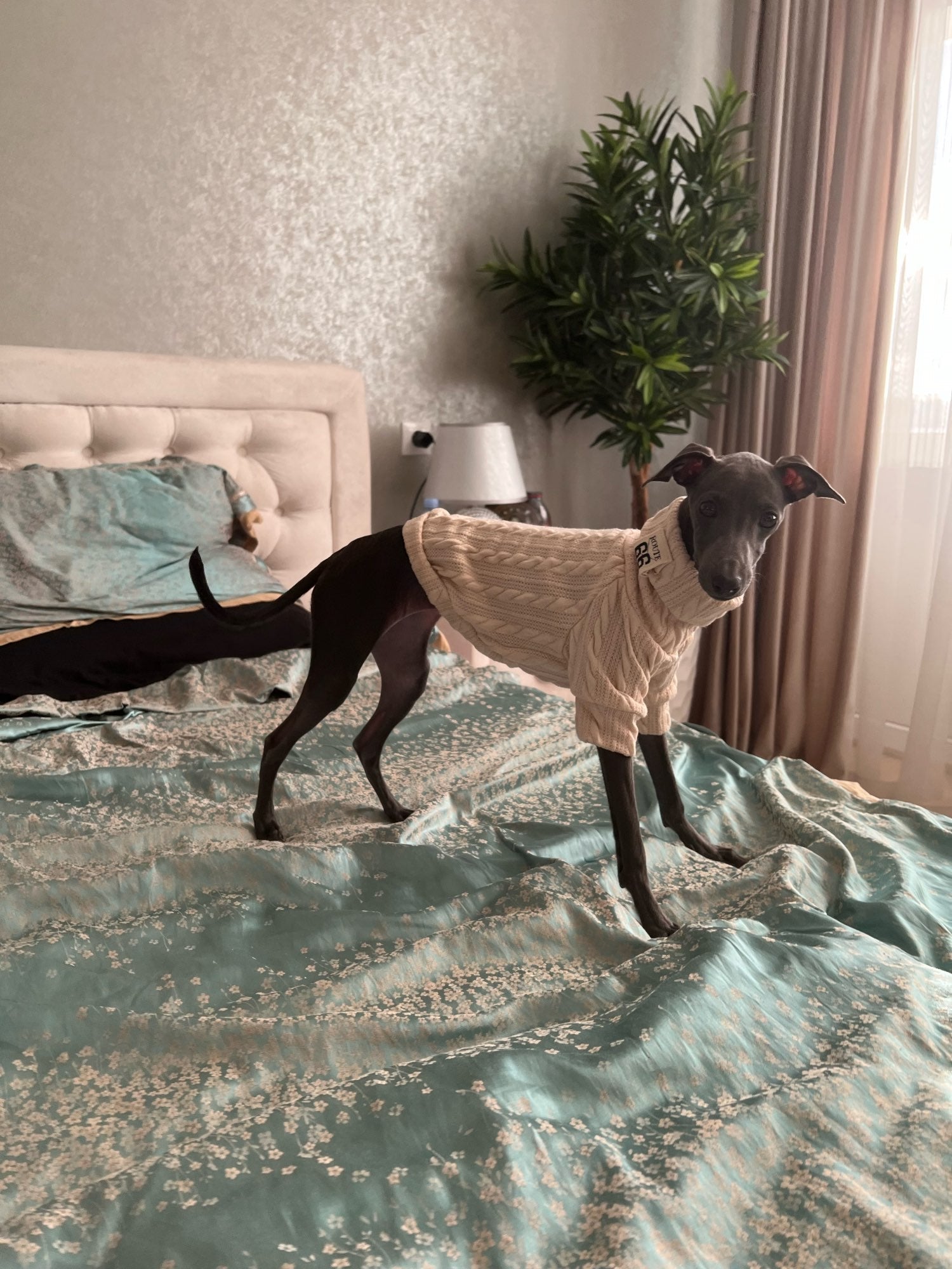 Winter Warm Knitted Turtleneck Sweater for Small Dogs or Cats - Tampa Home & Garden Store