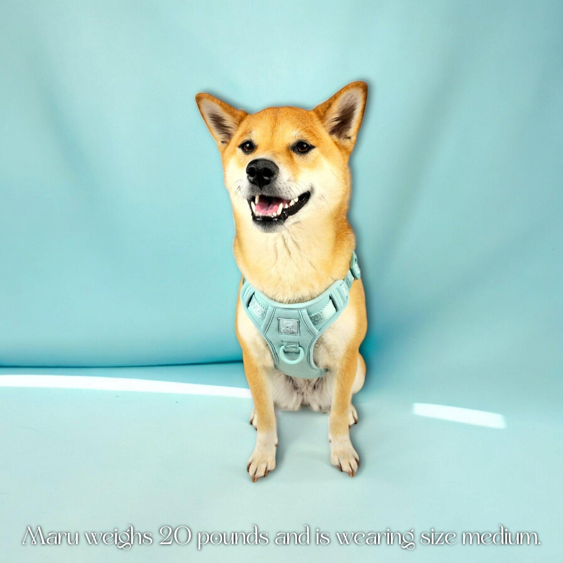 Wolfdoge Signature Harness - Tampa Home & Garden Store