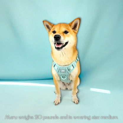 Wolfdoge Signature Harness - Tampa Home & Garden Store