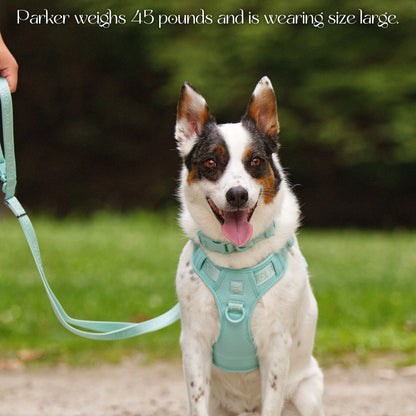 Wolfdoge Signature Harness - Tampa Home & Garden Store