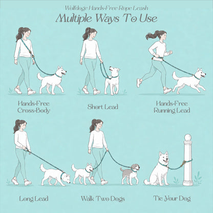 Hands-Free Rope Leash by WOLFDOGE in teal, shown for cross-body and two-dog walking on Tampa Home & Garden Store