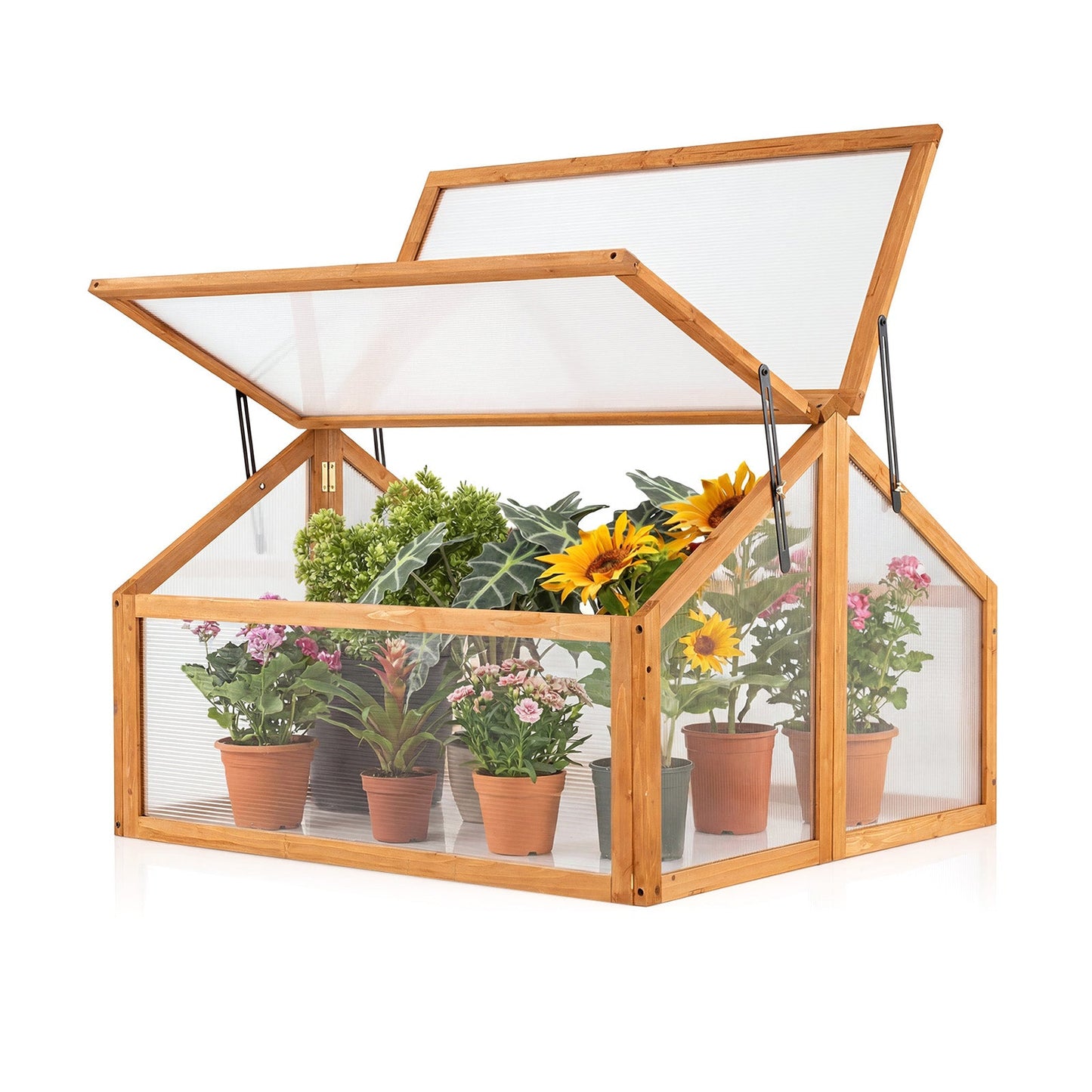 Wood cold-frame greenhouse with openable transparent roof in orange; raised flower planter on Tampa Home & Garden Store