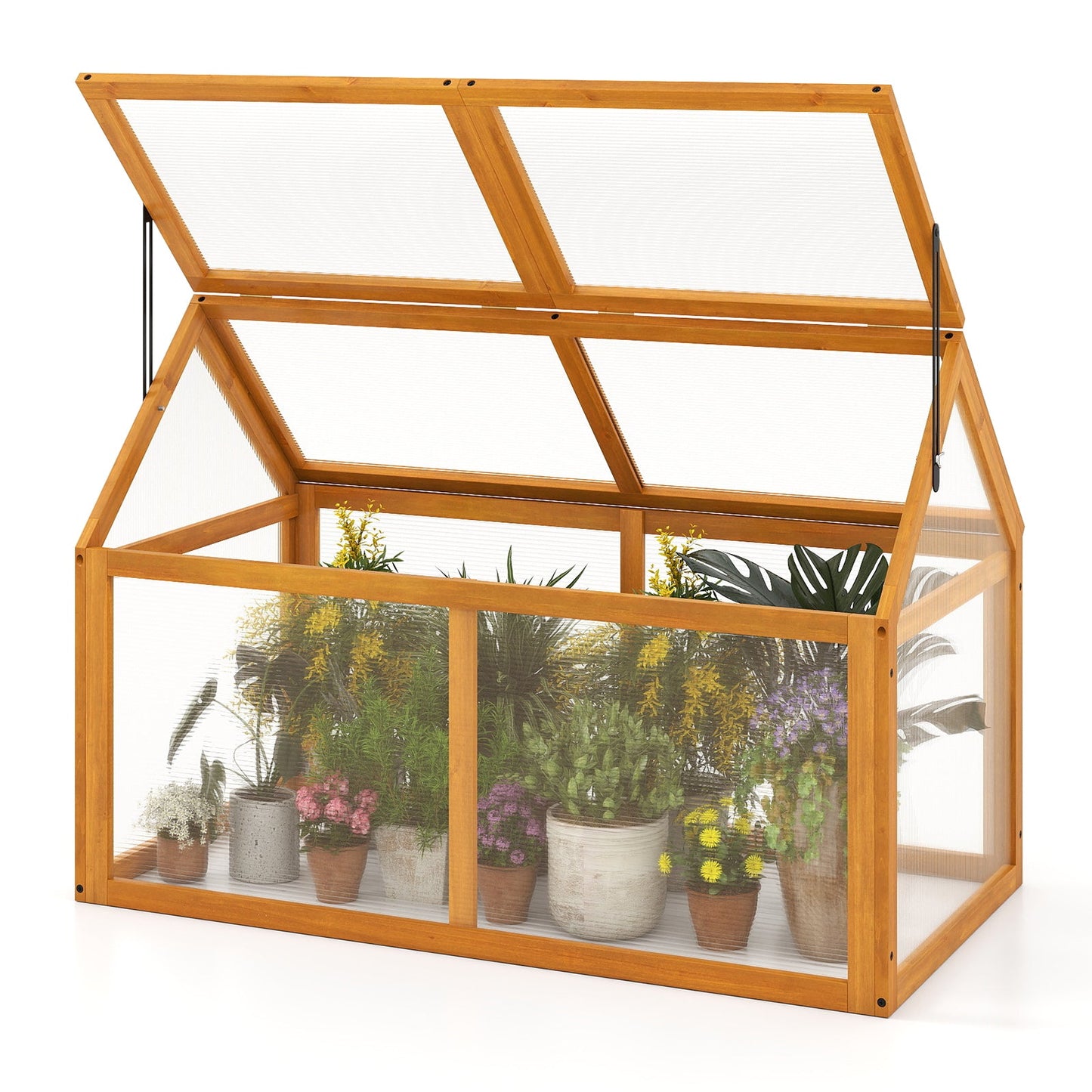 Wood framed cold frame greenhouse with orange-stained beams, raised planter and adjustable roof on Tampa Home & Garden Store