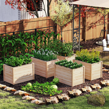 Wooden Raised Garden Bed Elevated Planter Box with Open-Ended Base