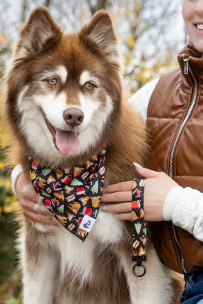 Woodland Tales Dog Bandana & Matching Keychain - Tampa Home & Garden Store