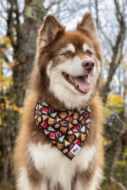 Woodland Tales Dog Bandana - Tampa Home & Garden Store