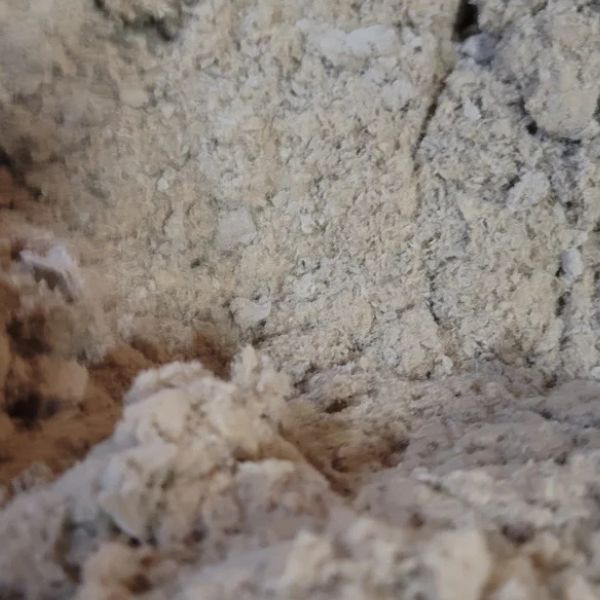 Worm Bedding EcoFluff - Tampa Home & Garden Store