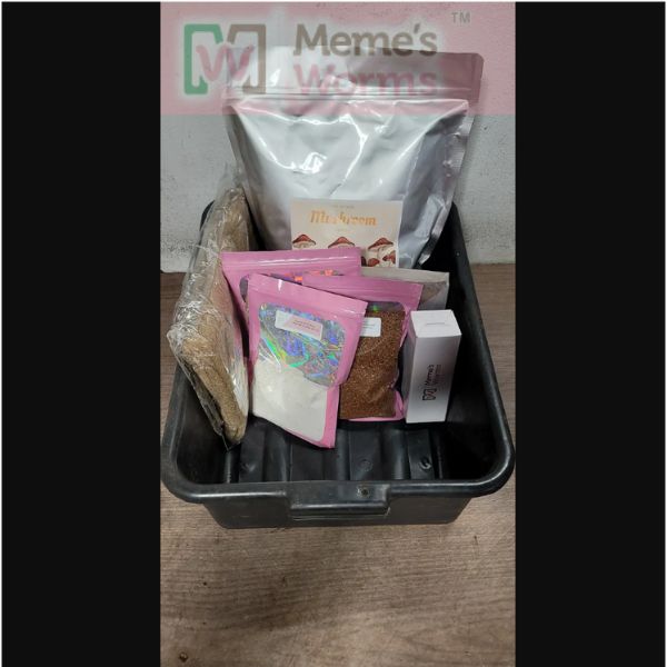 Worm Bin Starter Kit - Tampa Home & Garden Store