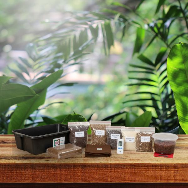 Worm Bin Starter Kit - Tampa Home & Garden Store