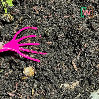 Worm Comb - Tampa Home & Garden Store