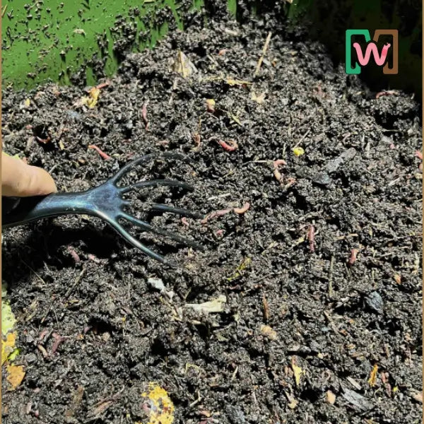 Worm Comb - Tampa Home & Garden Store