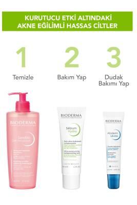 Bioderma Sebium Hydra face cream set: pink pump moisturizer and two white tubes on Tampa Home & Garden Store