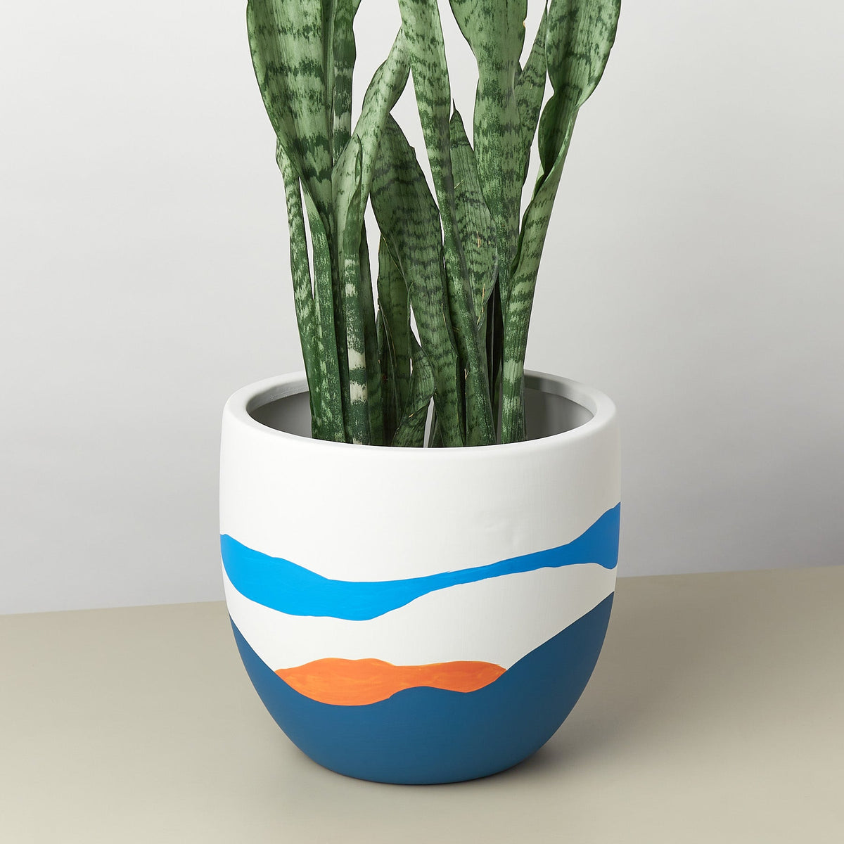 Egg Planter 9 Inch white ceramic pot with blue wave design housing snake plant House Plant Shop on Tampa Home & Garden Store