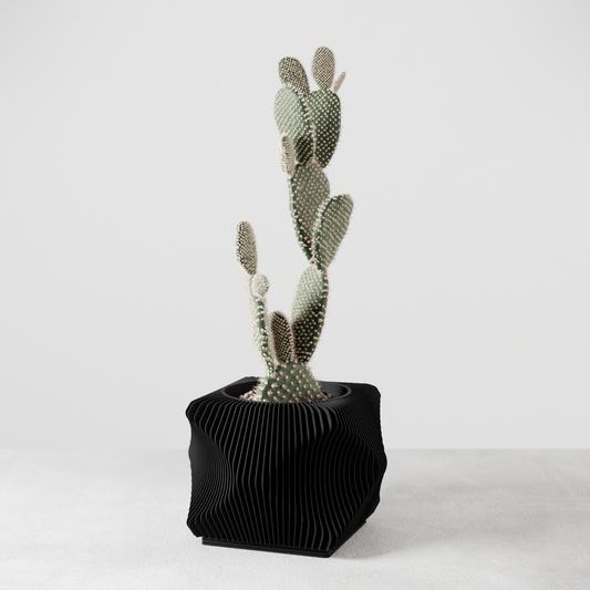 Xenova Planter - Tampa Home & Garden Store