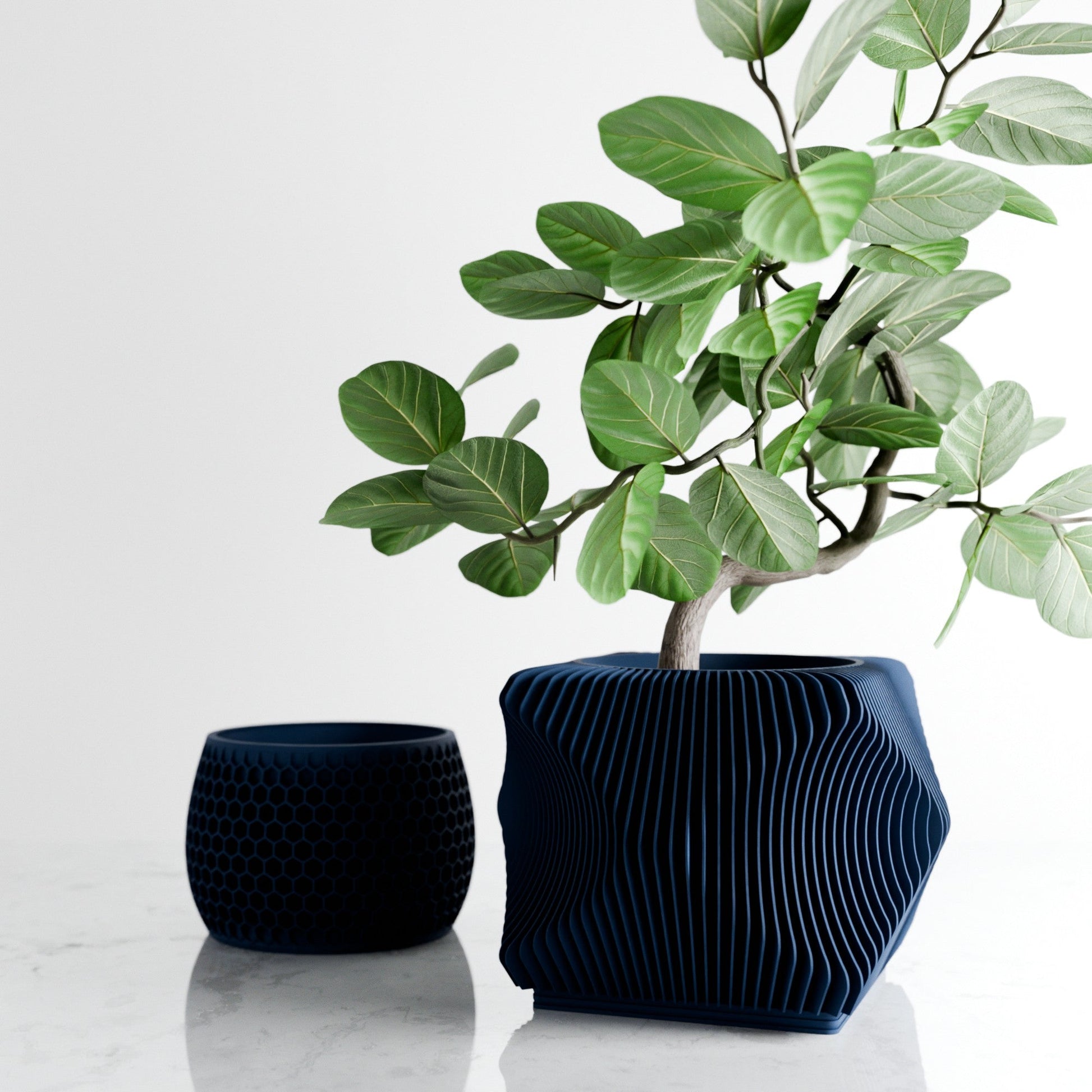 Xenova Planter - Tampa Home & Garden Store