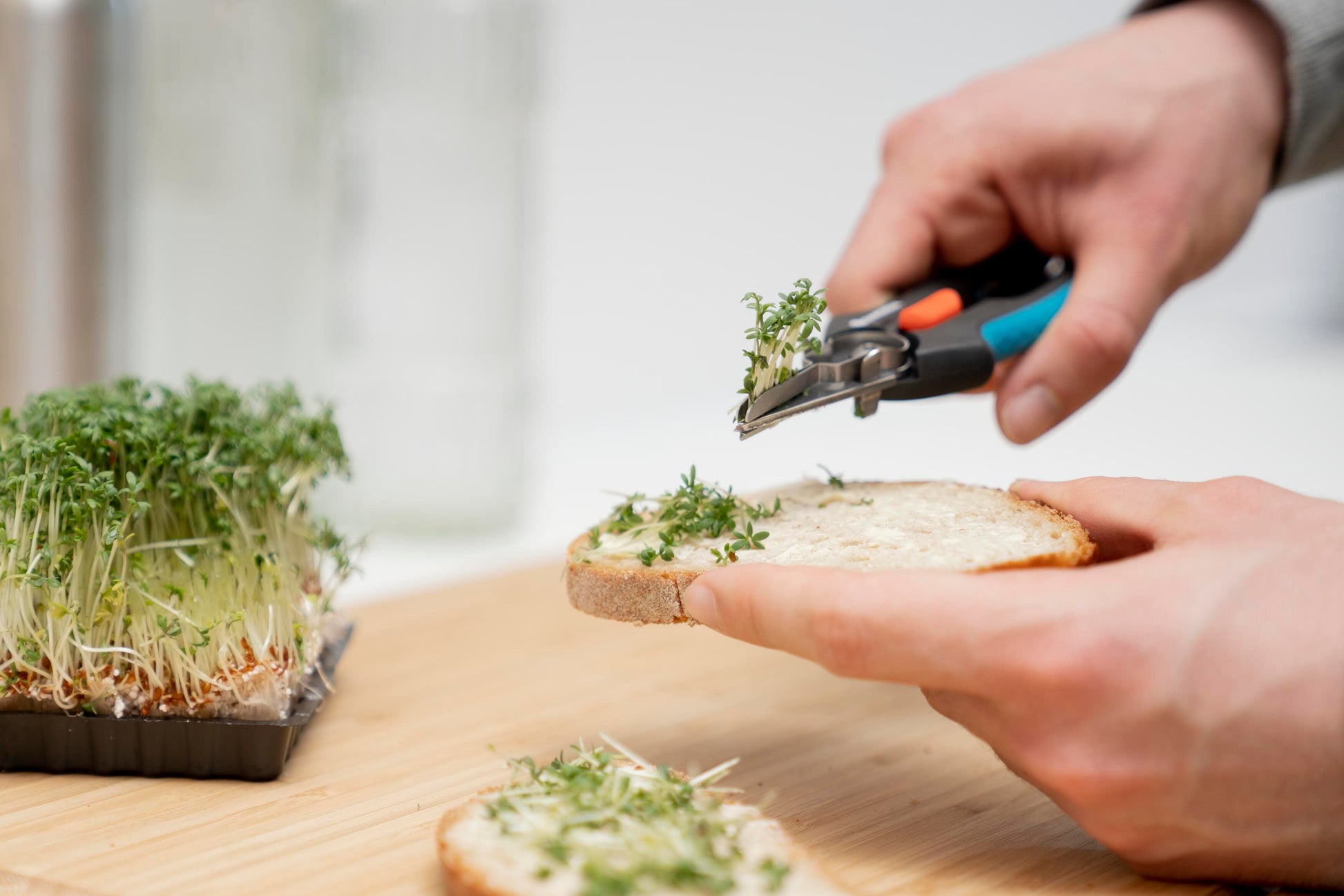 GripCut Scissors blue-handled Gardena herb snips for microgreens on bread on Tampa Home & Garden Store