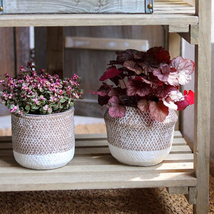 Boho straw-look planter pair in beige ceramic with bases; left succulent, right red-leaf plant on Tampa Home & Garden Store