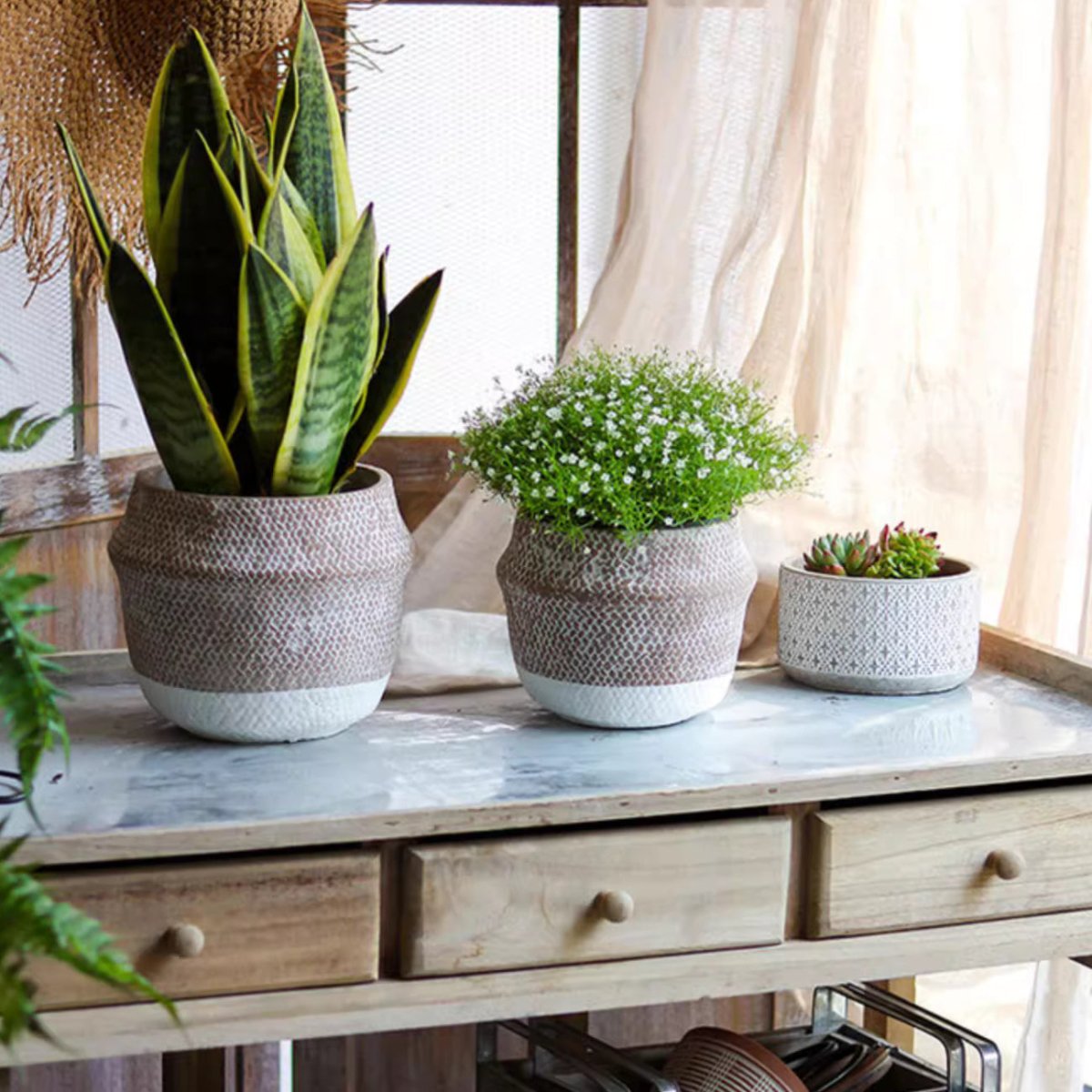 Boho Straw-Look Flower Planter by RusticReach in a set of three pots with snake plant on Tampa Home & Garden Store
