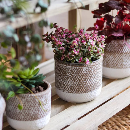 RusticReach Boho Straw-Look Planter with textured taupe band and white base, pink blooms on Tampa Home & Garden Store