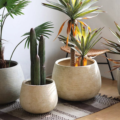 Rustic Globe Cement Planter set in light gray with cacti and tropical plants on Tampa Home & Garden Store