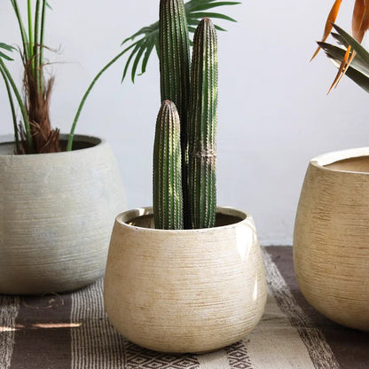 Rustic Globe Cement Planter set of 3 beige/gray planters with a tall cactus centerpiece on Tampa Home & Garden Store