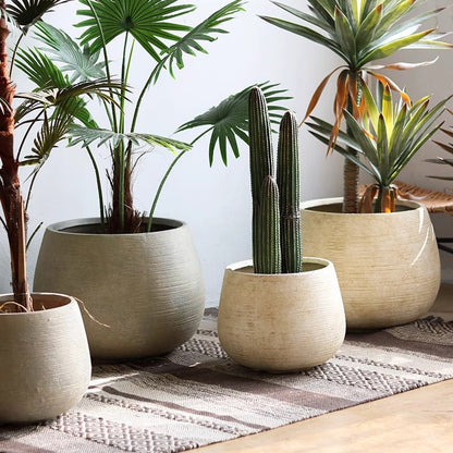 Rustic Globe Cement Planter set of four beige pots with green plants and cactus by RusticReach on Tampa Home & Garden Store