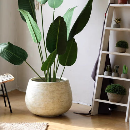 Rustic Globe Cement Planter by RusticReach with beige textured pot and tall green leaves on Tampa Home & Garden Store