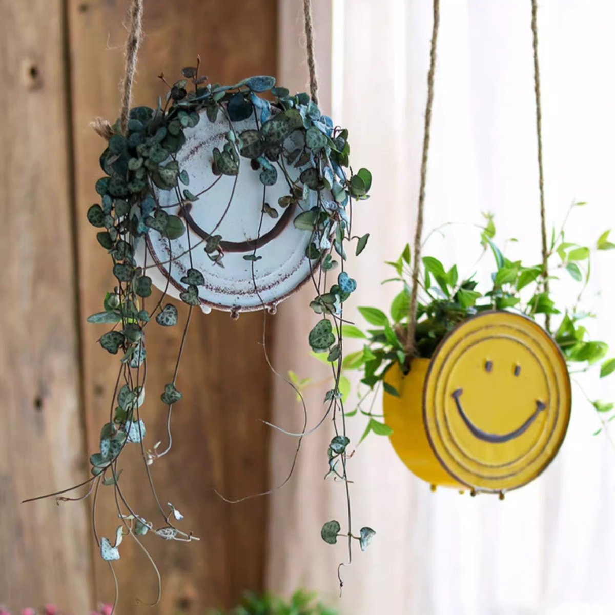 Happy Face Hanging Planter and distressed white round plate planter with vines on jute rope on Tampa Home & Garden Store