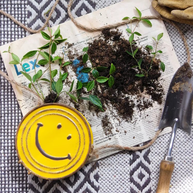 Happy Face Hanging Planter with yellow smile lid, green seedlings, soil on newspaper on Tampa Home & Garden Store