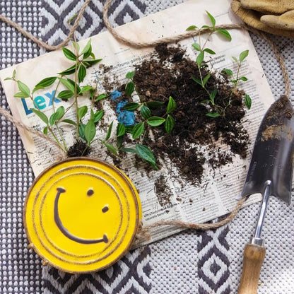 Happy Face Hanging Planter with yellow smile lid, green seedlings, soil on newspaper on Tampa Home & Garden Store