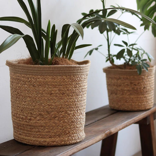 Natural Cylinder Storage and Planter Basket woven in jute with green plants; two baskets on a wooden bench on Tampa Home & Garden Store