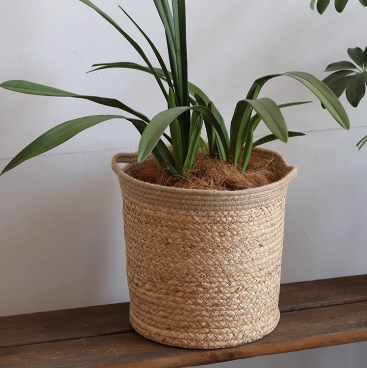Natural Cylinder Storage and Planter Basket by RusticReach, woven basket with green leaves on Tampa Home & Garden Store