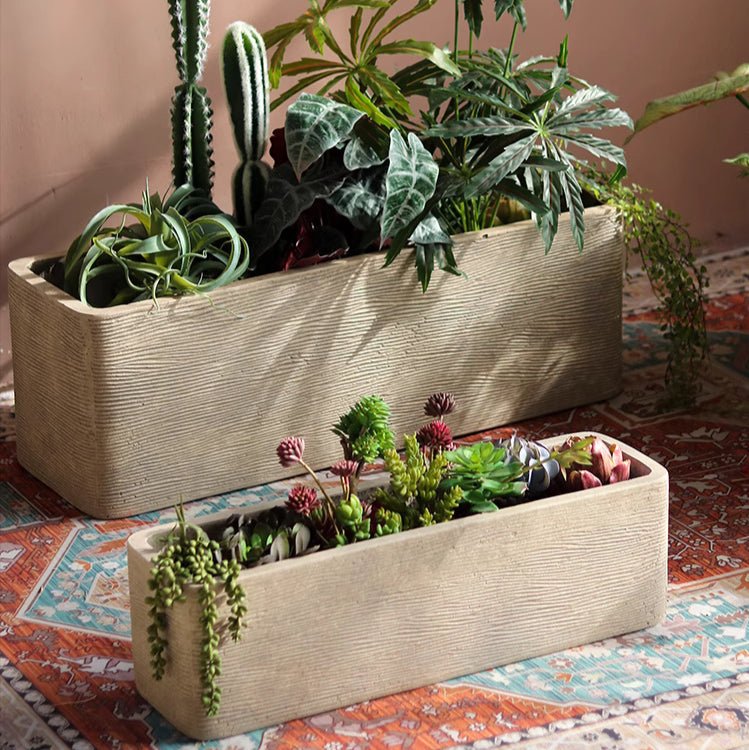 Modern Rectangular Textured Planter RusticReach set of two beige with greens and succulents on Tampa Home & Garden Store