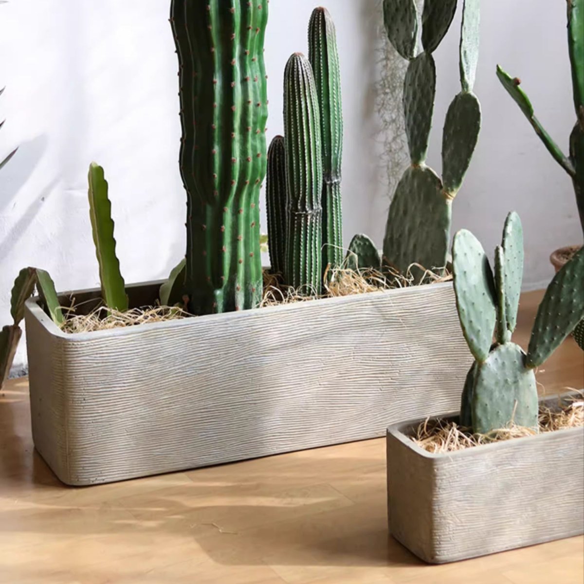Modern rectangular textured planter pair in light gray with assorted cacti from RusticReach on Tampa Home & Garden Store
