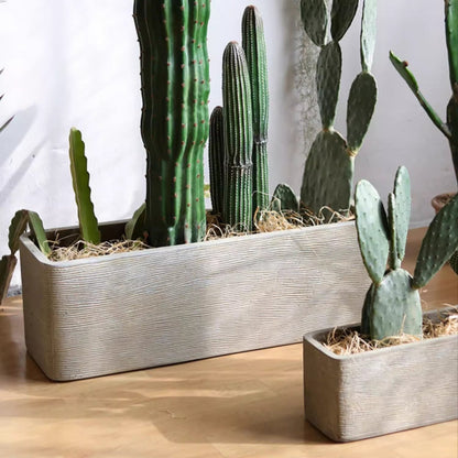 Modern rectangular textured planter pair in light gray with assorted cacti from RusticReach on Tampa Home & Garden Store