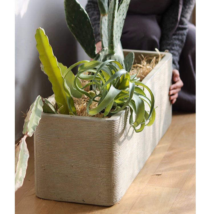 Modern Rectangular Textured Planter with gray concrete finish and succulents on wood table on Tampa Home & Garden Store