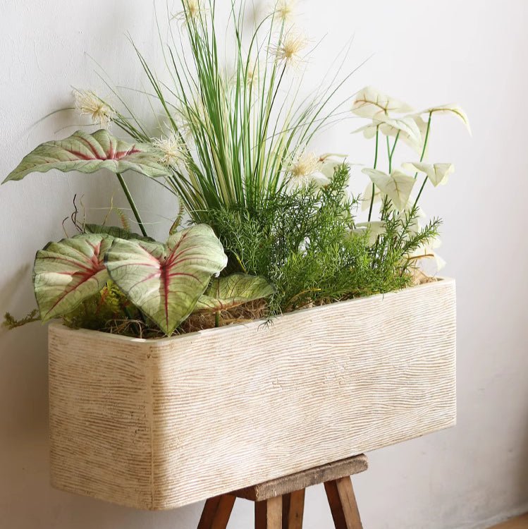 Modern Rectangular Textured Planter with beige finish housing grasses and leafy plants on Tampa Home & Garden Store