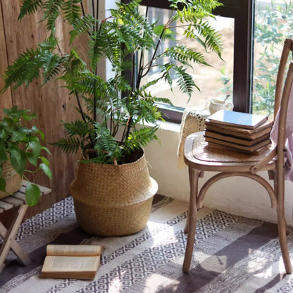 Foldable Seagrass Belly Basket with Handles natural beige beside a chair and books on Tampa Home & Garden Store