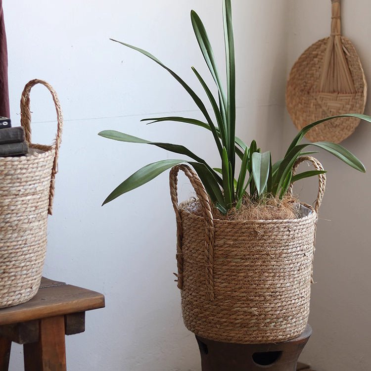 Handwoven seagrass plant basket with handles, natural color, plants inside, 2 baskets on Tampa Home & Garden Store